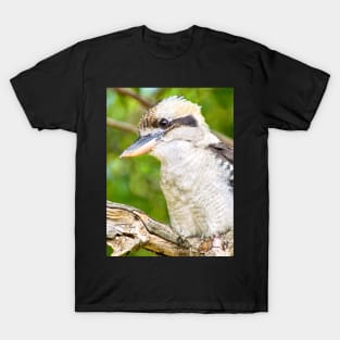 Laughing Kookaburra T-Shirt